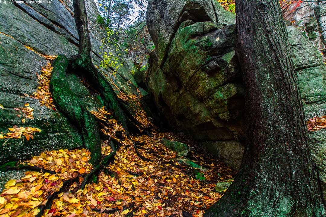 Mohonk Giant Workshop Entrance